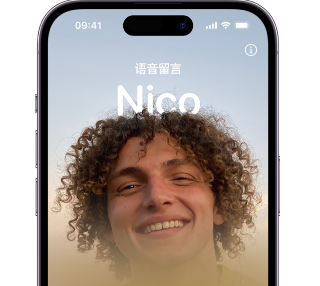 延平苹果15服务站分享iPhone15实时语音留言开启方法 